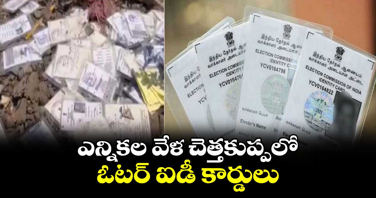 ఎన్నికల వేళ చెత్తకుప్పలో ఓటర్ ఐడీ కార్డులు..