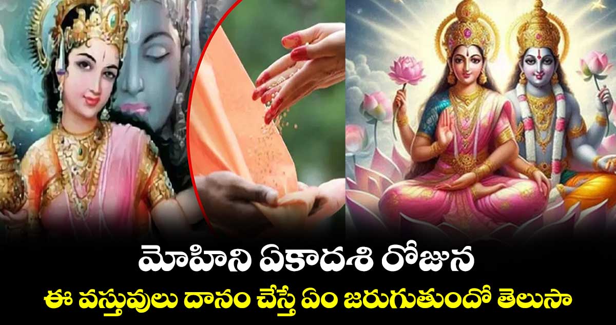 Mohini ekadashi 2024:  మోహిని ఏకాదశి రోజున  ఈ వస్తువులు దానం చేస్తే ఏం జరుగుతుందో తెలుసా...