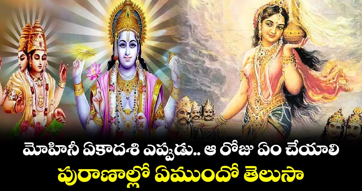 Mohini ekadashi 2024: మోహినీ ఏకాదశి ఎప్పుడు.. ఆ రోజు ఏం చేయాలి.. పురాణాల్లో ఏముందో తెలుసా..