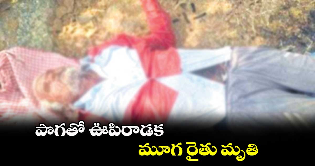 పొగతో ఊపిరాడక మూగ రైతు మృతి