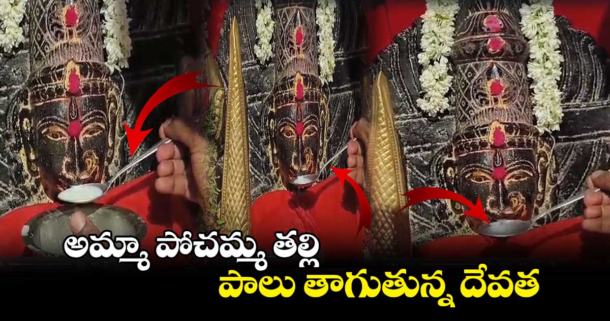  అమ్మా పోచమ్మ తల్లి ..  పాలు తాగుతున్న దేవత 