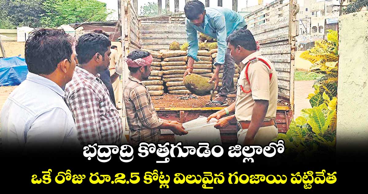 భద్రాద్రి కొత్తగూడెం జిల్లాలో .. ఒకే రోజు రూ.2.5 కోట్ల విలువైన గంజాయి పట్టివేత