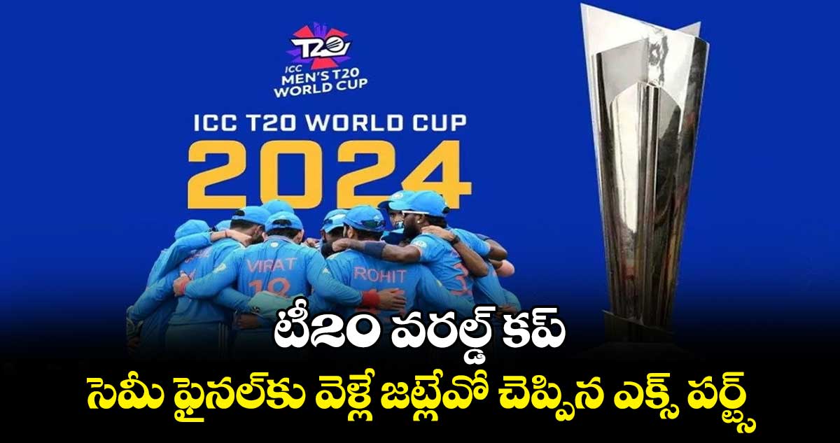 T20 World Cup 2024: టీ20 వరల్డ్ కప్.. సెమీ ఫైనల్‌కు వెళ్లే జట్లేవో చెప్పిన ఎక్స్ పర్ట్స్