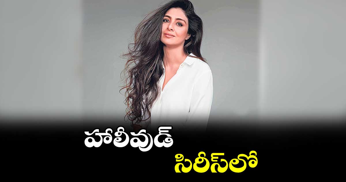 హాలీవుడ్ సిరీస్లో..