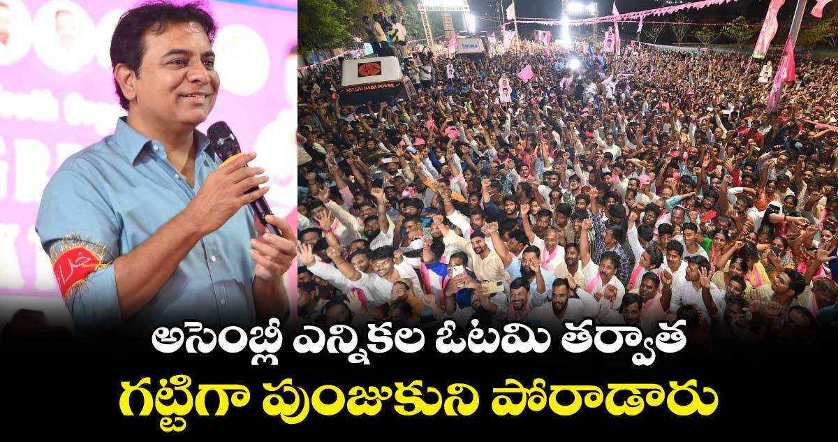 అసెంబ్లీ ఎన్నికల ఓటమి తర్వాత గట్టిగా పుంజుకుని పోరాడారు :  కేటీఆర్ 