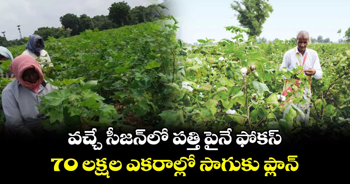వచ్చే సీజన్లో పత్తి పైనే ఫోకస్.. 70 లక్షల ఎకరాల్లో సాగుకు ప్లాన్