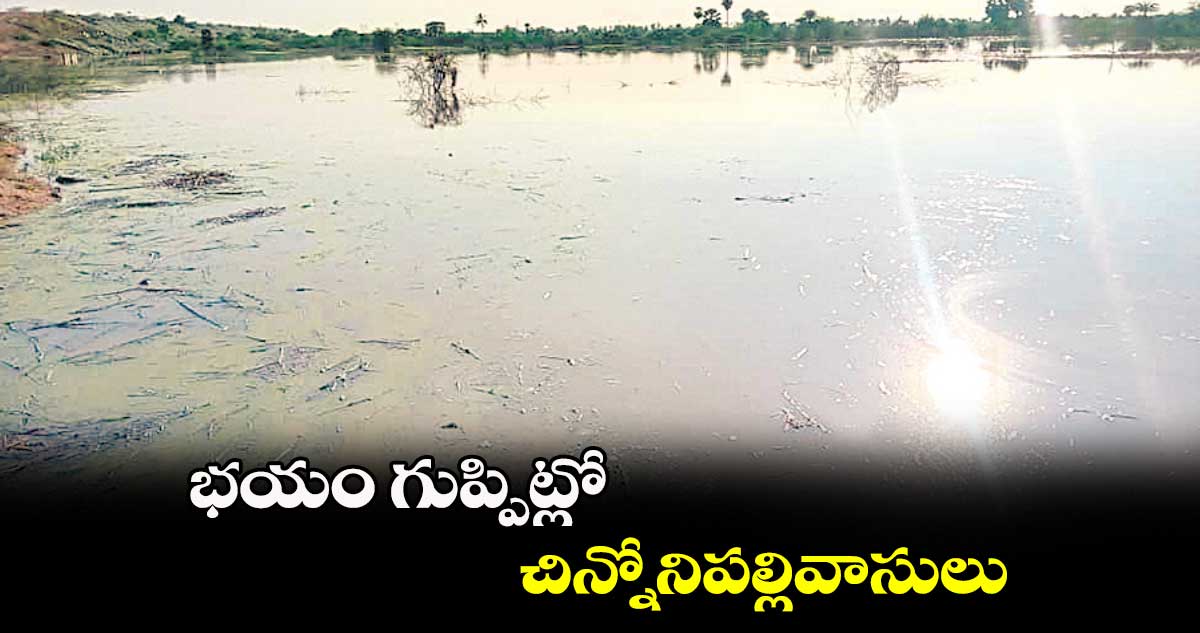 భయం గుప్పిట్లో చిన్నోనిపల్లివాసులు