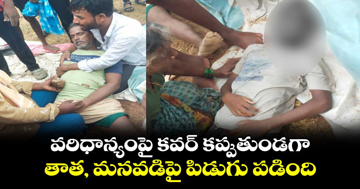  వరిధాన్యంపై కవర్ కప్పుతుండగా.. తాత, మనవడిపై  పిడుగు పడింది 