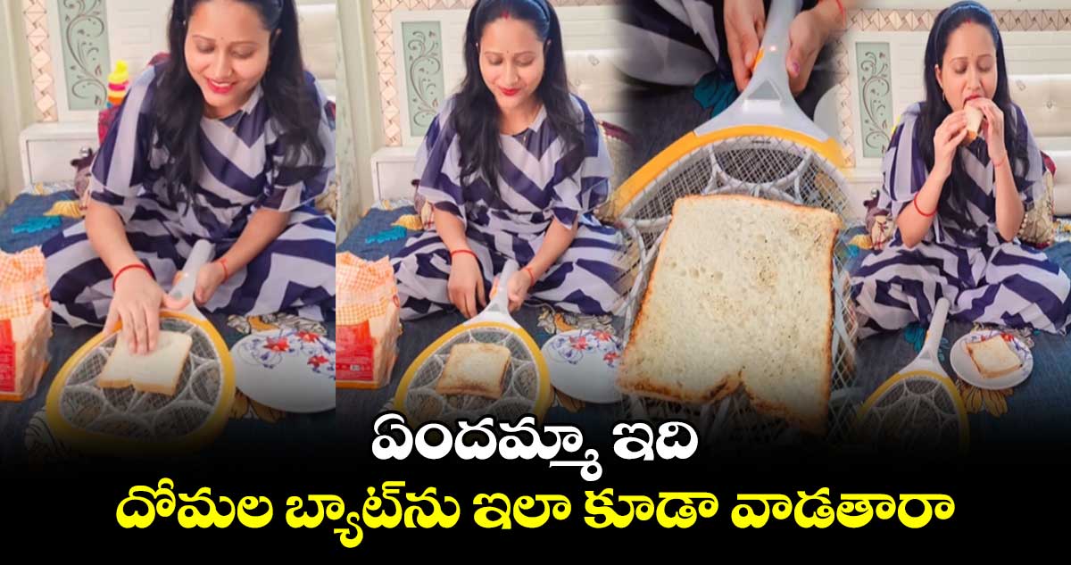  ఏందమ్మా ఇది... .  దోమల బ్యాట్‌ను ఇలా కూడా వాడతారా..