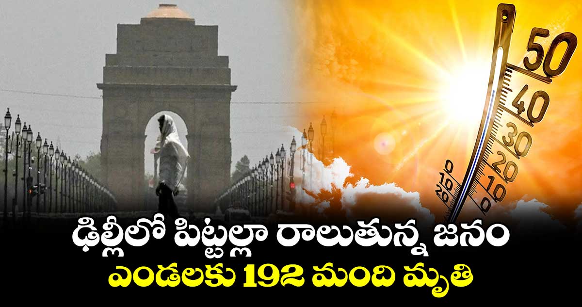 ఢిల్లీలో పిట్టల్లా రాలుతున్న జనం... ఎండలకు 192 మంది మృతి
