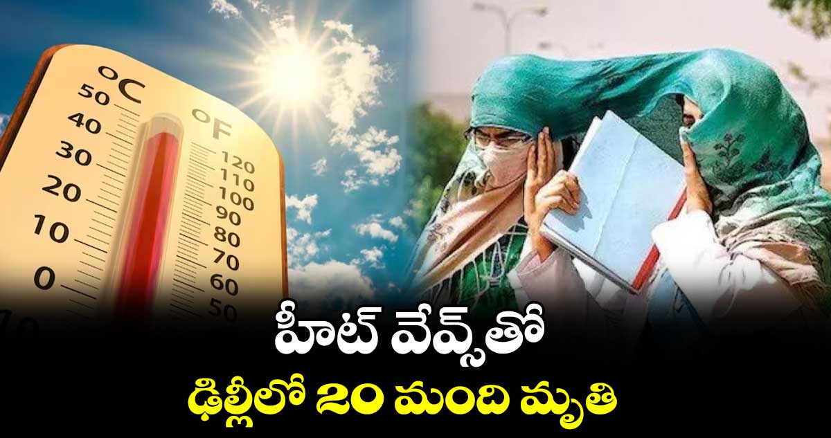 హీట్ వేవ్స్తోఢిల్లీలో 20 మంది మృతి