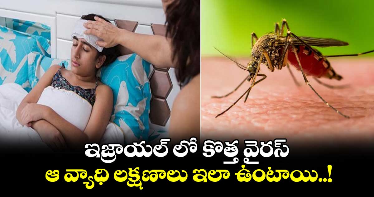 ఇజ్రాయల్ లో కొత్త వైరస్ : ఆ వ్యాధి లక్షణాలు ఇలా ఉంటాయి..!