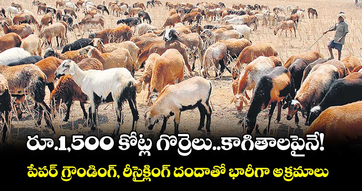 రూ.1,500 కోట్ల గొర్రెలు..కాగితాలపైనే! ... పేపర్ గ్రౌండింగ్, రీసైక్లింగ్ దందాతో భారీగా అక్రమాలు 