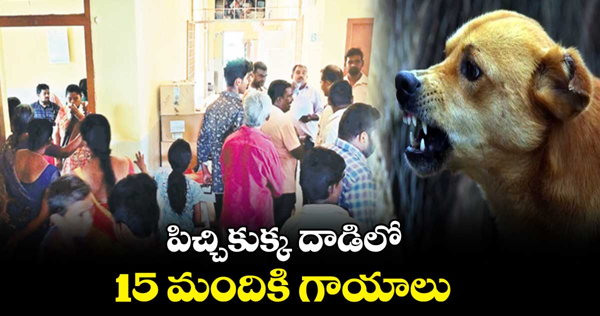 పిచ్చికుక్క దాడిలో 15 మందికి గాయాలు