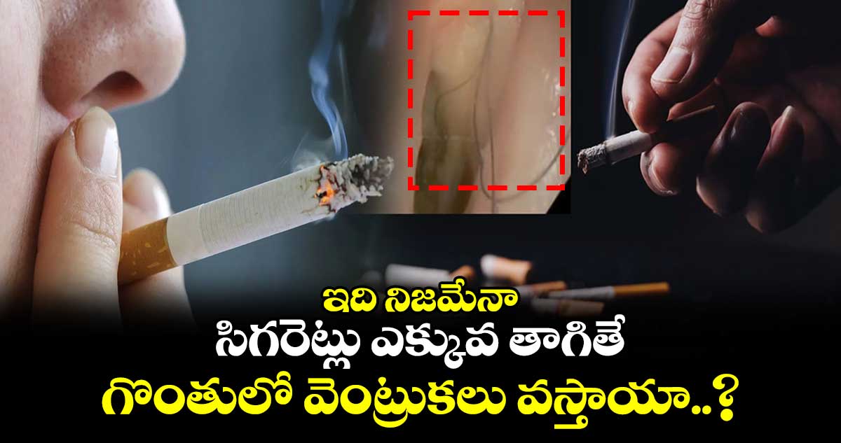 ఇది నిజమేనా : సిగరెట్లు ఎక్కువ తాగితే.. గొంతులో వెంట్రుకలు వస్తాయా..?