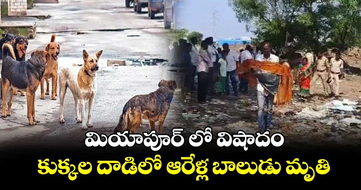 మియాపూర్ లో విషాదం... కుక్కల దాడిలో ఆరేళ్ల బాలుడు మృతి 