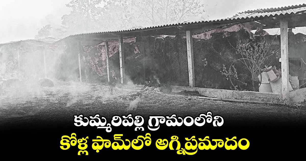 కుమ్మరిపల్లి గ్రామంలోని కోళ్ల ఫామ్‌‌‌‌‌‌‌‌లో అగ్నిప్రమాదం