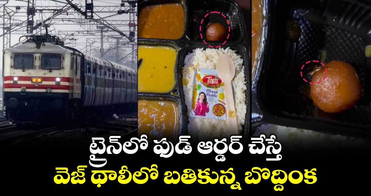 ట్రైన్‌లో ఫుడ్ ఆర్డర్ చేస్తే.. వెజ్ థాలీలో బతికున్న బొద్దింక