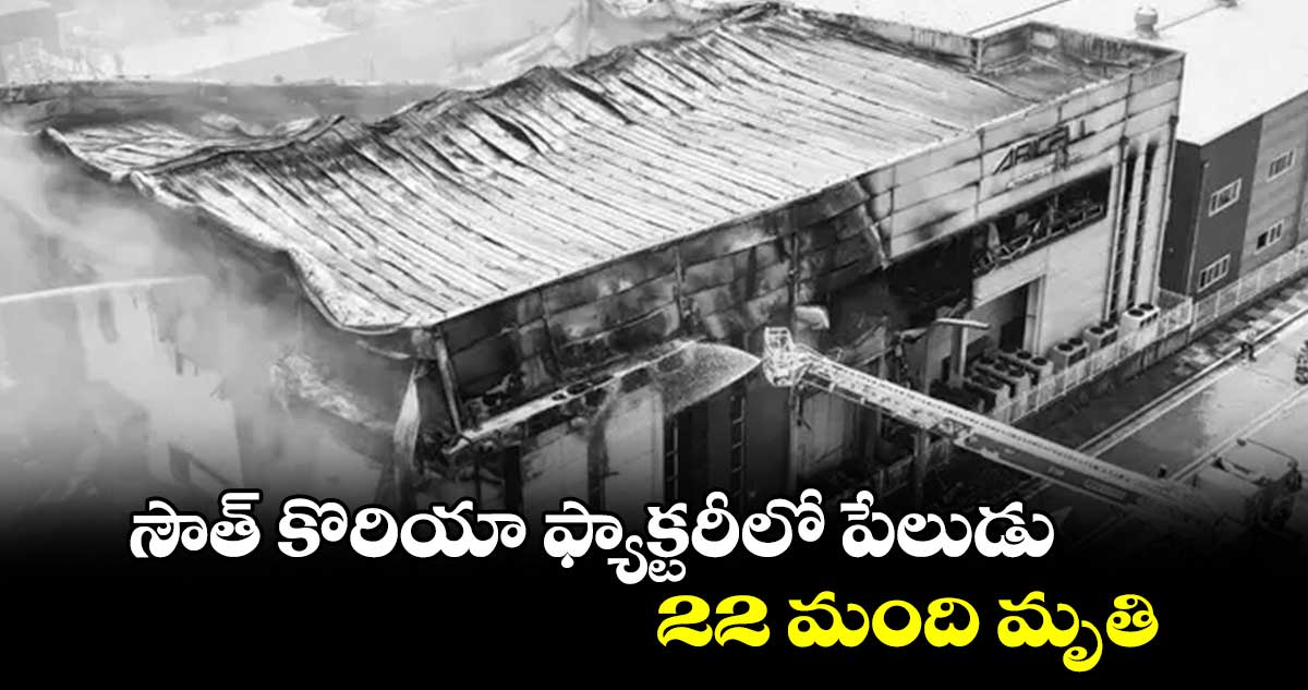 సౌత్​ కొరియా ఫ్యాక్టరీలో పేలుడు.. 22 మంది మృతి