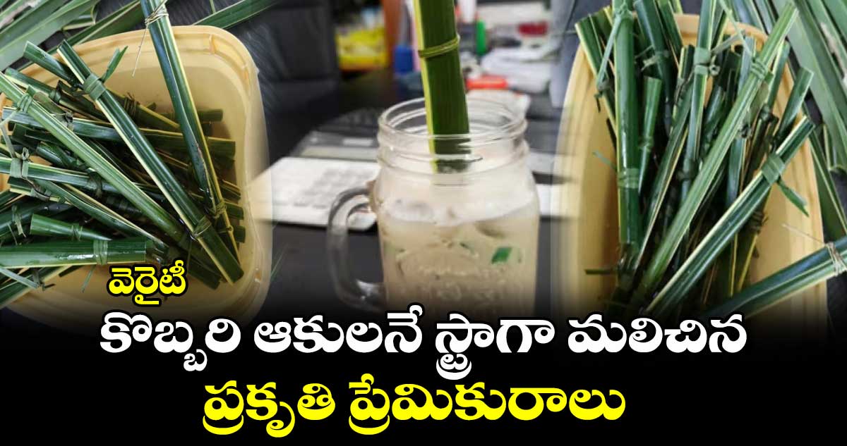 వెరైటీ : కొబ్బరి ఆకులనే స్ట్రాగా మలిచిన ప్రకృతి ప్రేమికురాలు