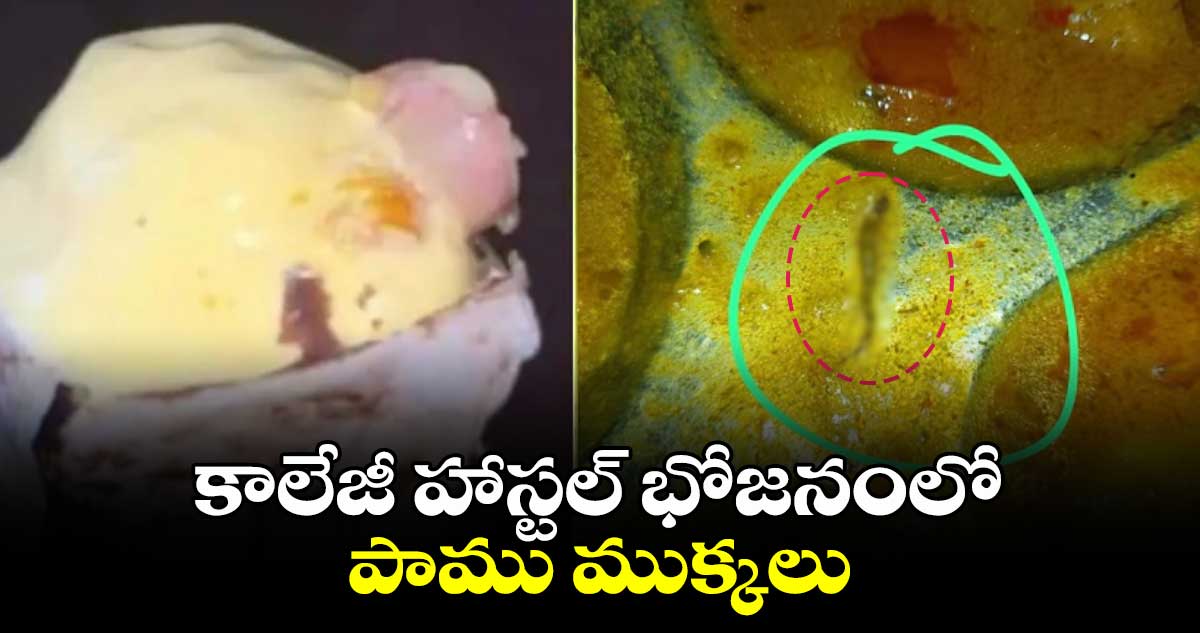 OMG : కాలేజీ హాస్టల్ భోజనంలో పాము ముక్కలు..