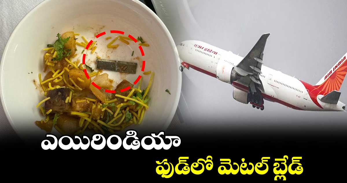 ఎయిరిండియా ఫుడ్లో మెటల్ బ్లేడ్