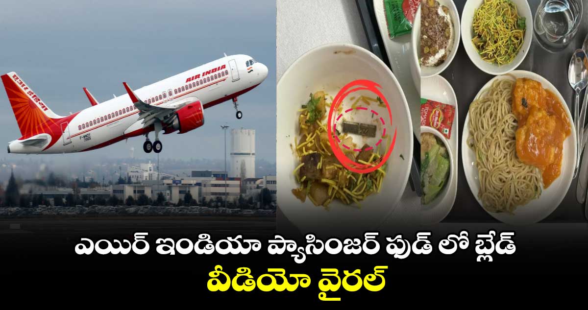 Air India Flight: ఎయిర్ ఇండియా ప్యాసింజర్ ఫుడ్ లో బ్లేడ్.. వీడియో వైరల్ 