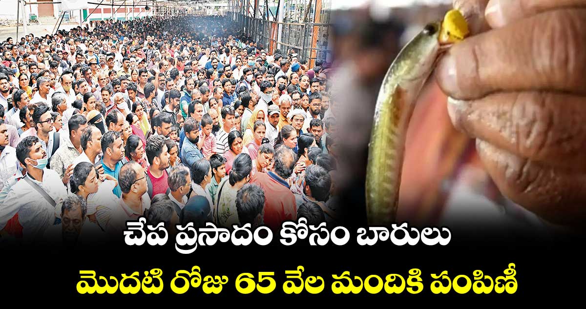 చేప ప్రసాదం కోసం బారులు ..  మొదటి రోజు 65 వేల మందికి పంపిణీ