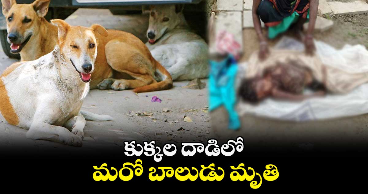 కుక్కల దాడిలో మరో బాలుడు మృతి