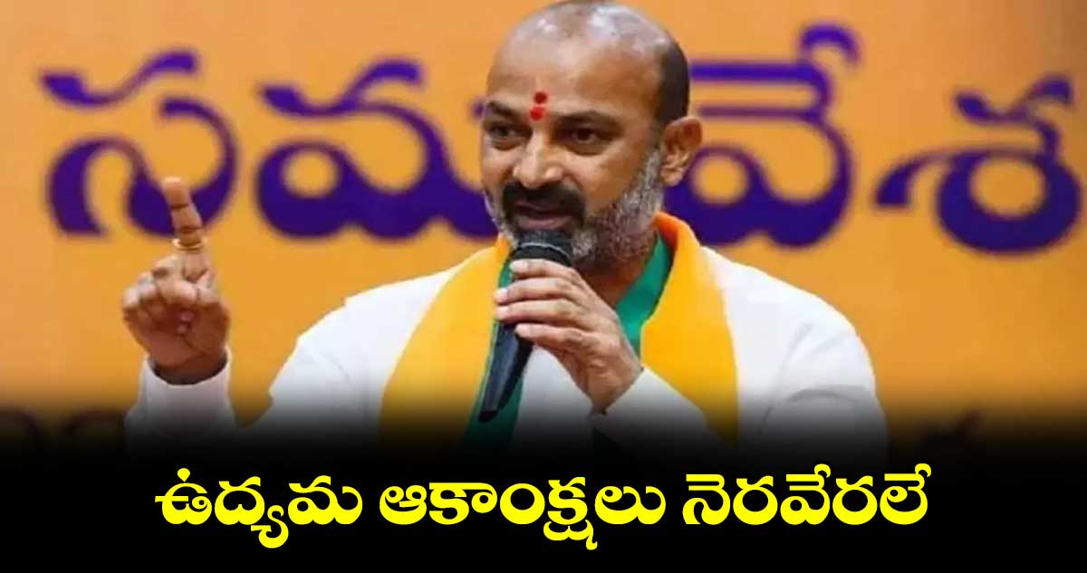 ఉద్యమ ఆకాంక్షలు నెరవేరలే: బండి సంజయ్ 