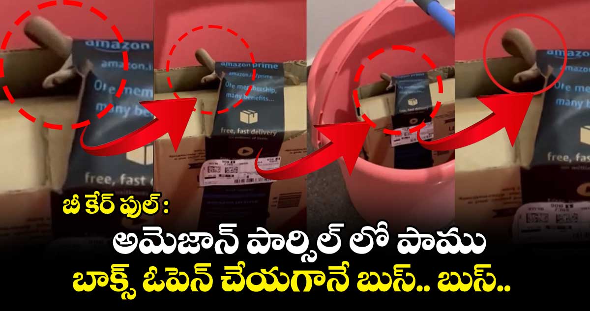 బీ కేర్ ఫుల్ : అమెజాన్ పార్సిల్ లో పాము.. బాక్స్ ఓపెన్ చేయగానే బుస్.. బుస్..