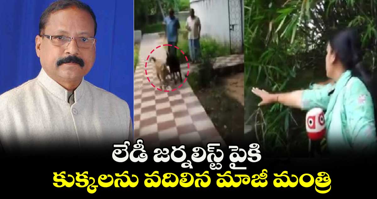 లేడీ జర్నలిస్ట్ పైకి కుక్కలను వదిలిన మాజీ మంత్రి