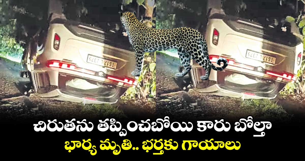 చిరుతను తప్పించబోయి కారు బోల్తా.. భార్య మృతి.. భర్తకు గాయాలు