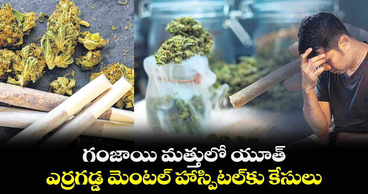 గంజాయి మత్తులో యూత్ .. ఎర్రగడ్డ మెంటల్ హాస్పిటల్​కు కేసులు 