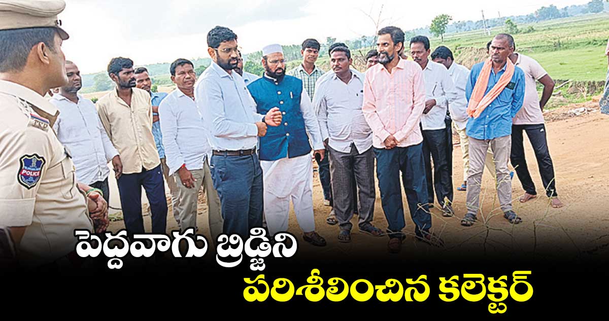 పెద్దవాగు బ్రిడ్జిని పరిశీలించిన కలెక్టర్