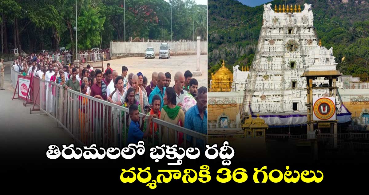 తిరుమలలో భక్తుల రద్దీ..   దర్శనానికి 36 గంటలు  