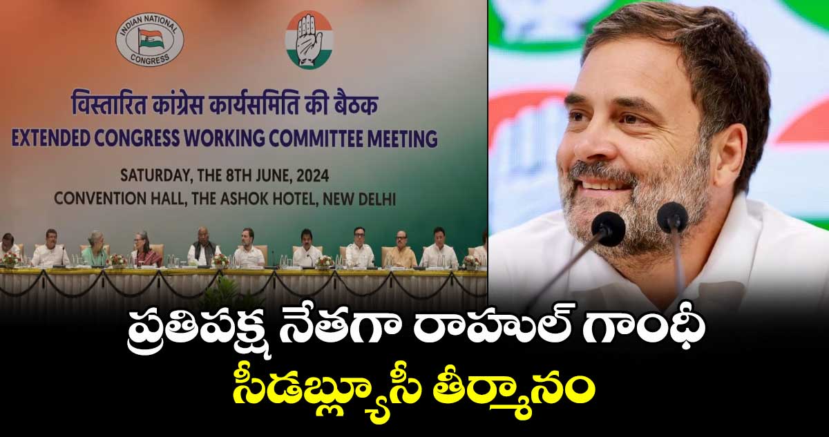 లోక్ సభ ప్రతిపక్ష నేతగా రాహుల్ గాంధీ.. సీడబ్ల్యూసీ తీర్మానం