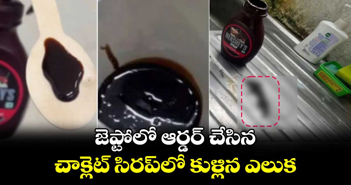 జెప్టోలో ఆర్డర్ చేసిన చాక్లెట్ సిరప్లో కుళ్లిన ఎలుక