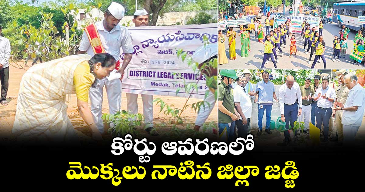 కోర్టు ఆవరణలో మొక్కలు నాటిన జిల్లా జడ్జి