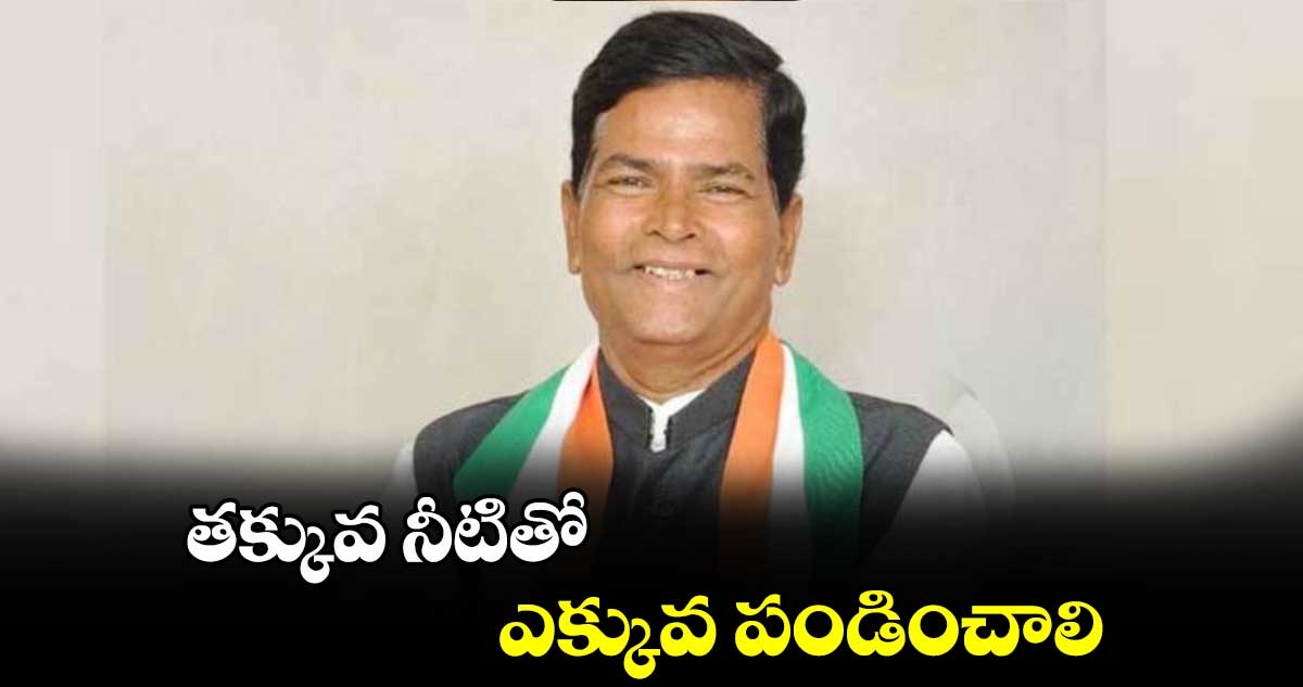 తక్కువ నీటితో ఎక్కువ పండించాలి : చిన్నారెడ్డి 