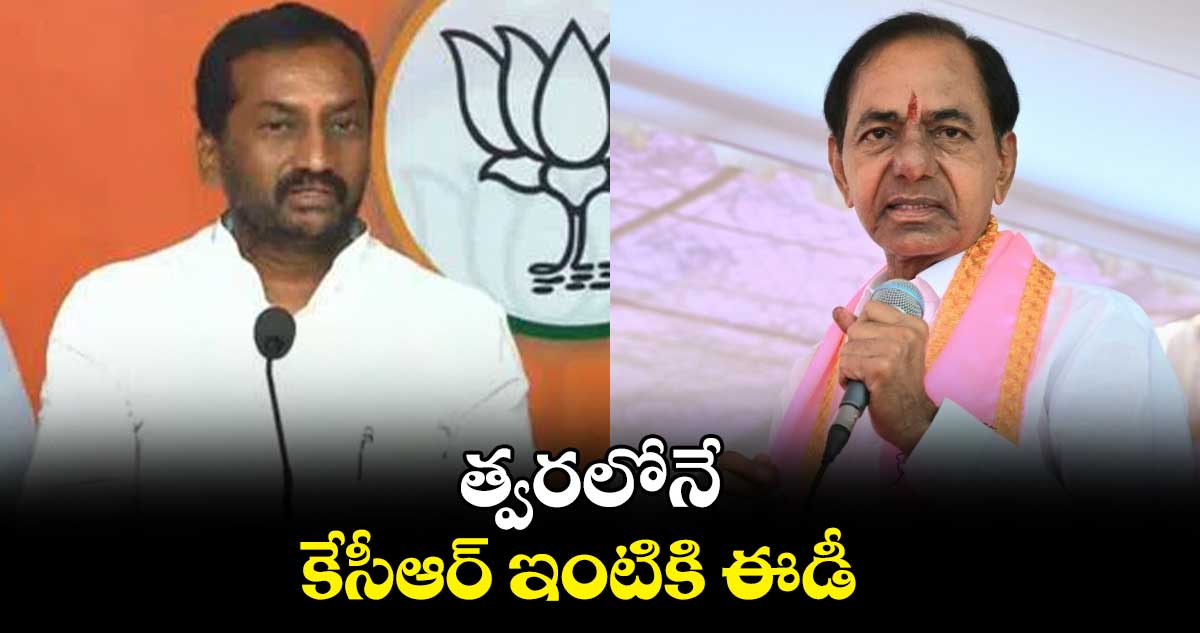 త్వరలోనే కేసీఆర్‌‌ ఇంటికి ఈడీ : రఘునందన్ రావు