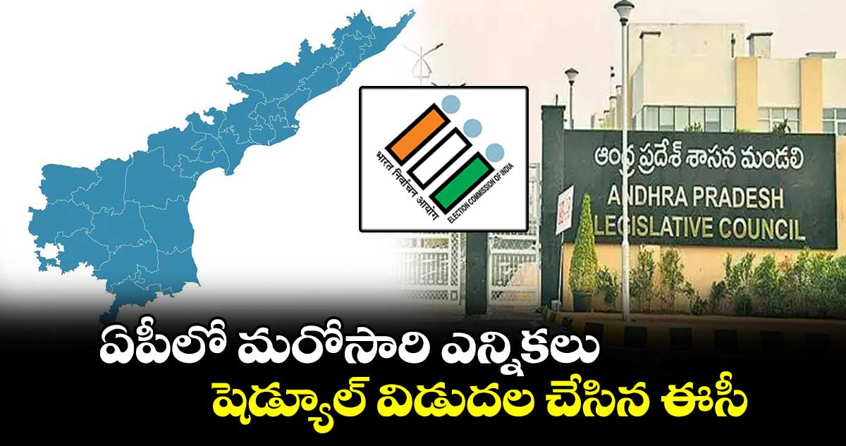 ఏపీలో మరోసారి ఎన్నికలు.. షెడ్యూల్ విడుదల చేసిన ఈసీ..