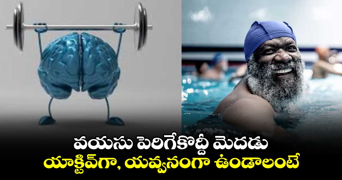 వయసు పెరిగేకొద్దీ మెదడు యాక్టివ్⁬గా , యవ్వనంగా ఉండాలంటే.. 