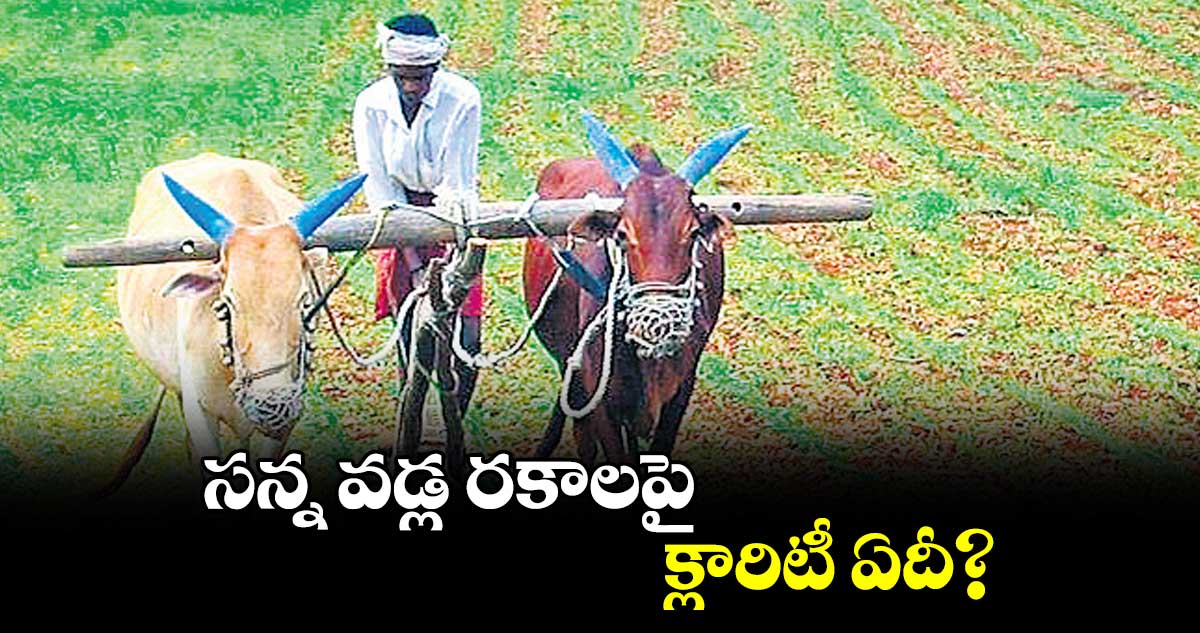 సన్న వడ్ల రకాలపై క్లారిటీ ఏదీ?