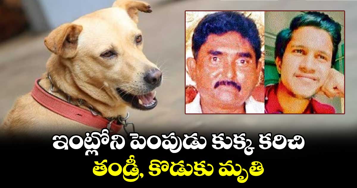 ఇంట్లోని పెంపుడు కుక్క కరిచి.. తండ్రీ, కొడుకు మృతి