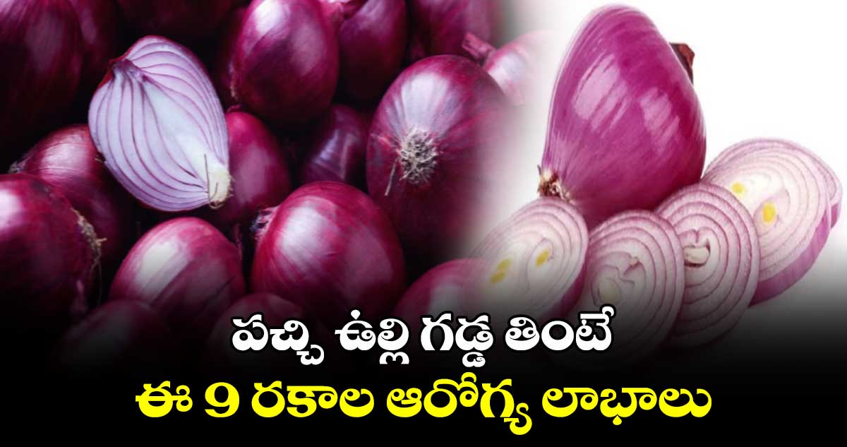 Good Health : పచ్చి ఉల్లి గడ్డ తింటే.. ఈ 9 రకాల ఆరోగ్య లాభాలు