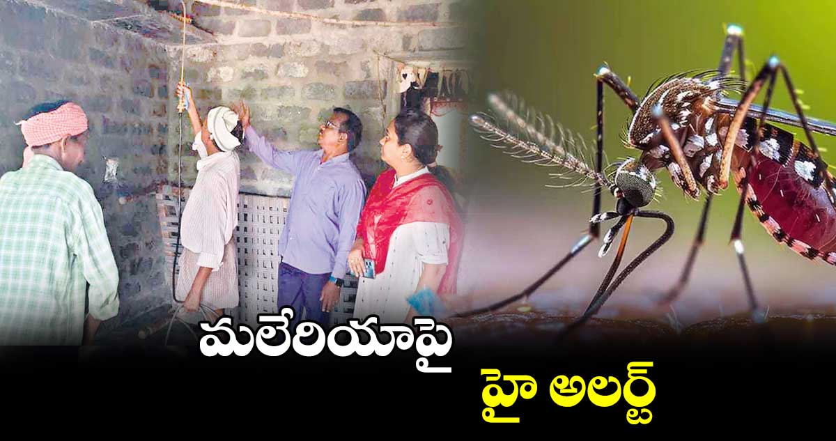 మలేరియాపై హై అలర్ట్​​