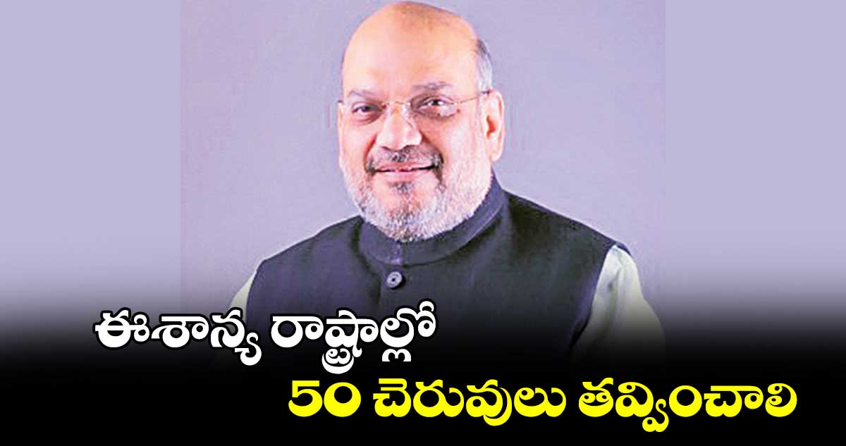 ఈశాన్య రాష్ట్రాల్లో 50 చెరువులు తవ్వించాలి: అమిత్ షా