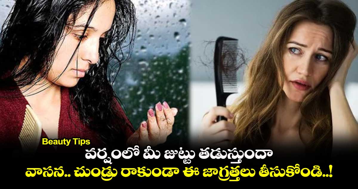 Beauty Tips : వర్షంలో మీ జుట్టు తడుస్తుందా.. వాసన.. చుండ్రు రాకుండా ఈ జాగ్రత్తలు తీసుకోండి..!