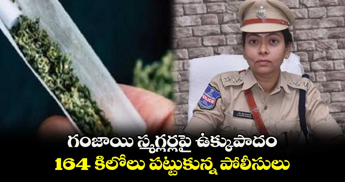 గంజాయి స్మగ్లర్లపై ఉక్కుపాదం.. 164 కిలోలు పట్టుకున్న పోలీసులు